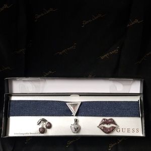 Interchangeable Brooch